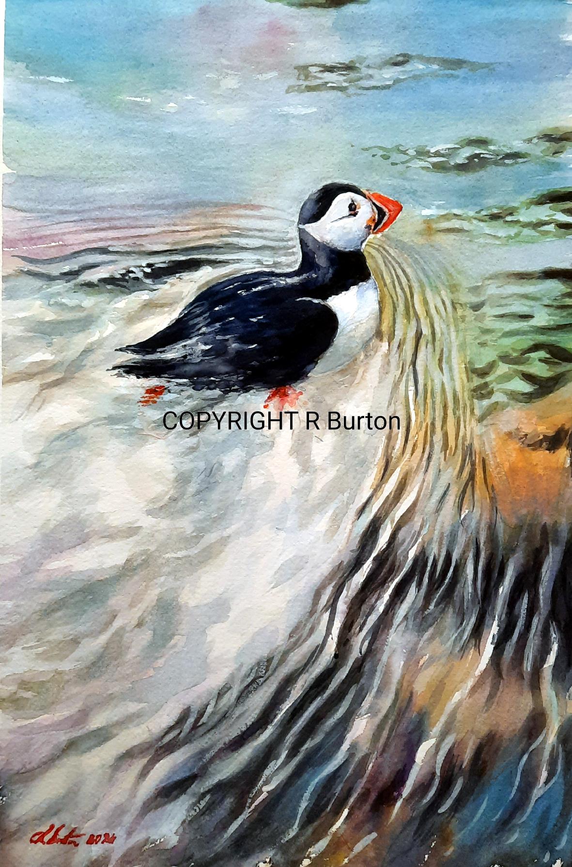 The Swimming Puffin SOLD